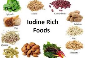 lack of iodine in diet